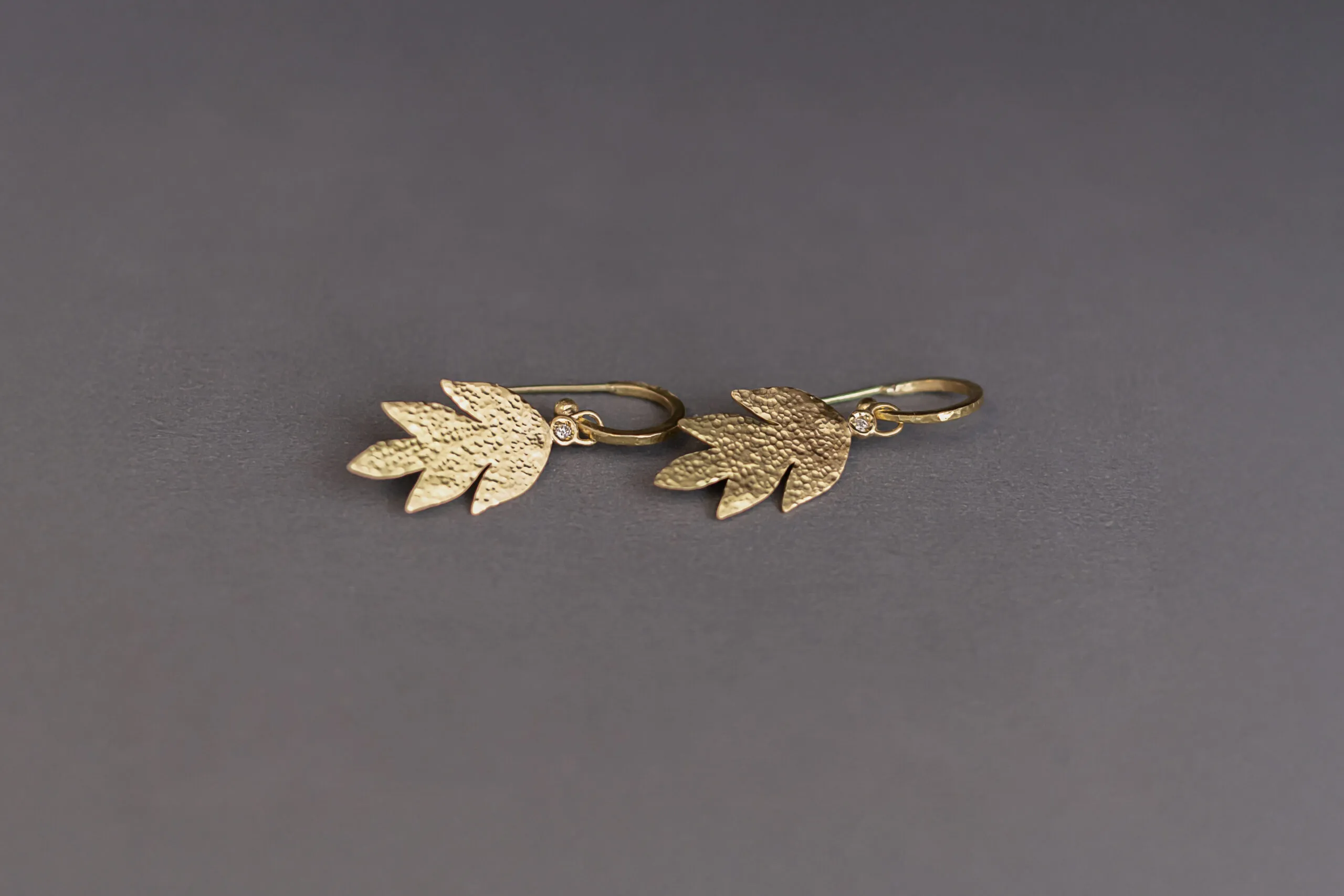 Brinco Dança das Folhas Com Brilhante